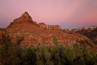 Is an American national park located in southwestern Utah near the town of Springdale.The canyon