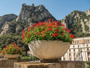 Flower pots on a stone wall in front of a mountain landscape and a building in the background,
