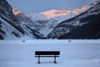 Ice Rink Lake Louise Chateau winter Alberta Canada