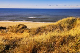 The Red Cliff near Kampen, Sylt, Germany