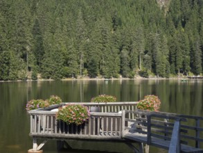 A wooden footbridge with blooming flowers leading into a peaceful lake surrounded by green trees,