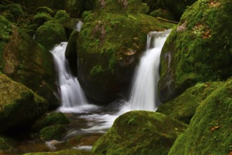 Gertelbach Waterfalls - Northern Black Forest