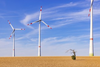 Several innovative wind turbines of different sizes on a barren field behind an old tree in the
