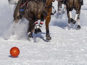 Snow Polo details pictures from a match