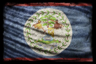 Belize Flag, Grunge Texture Background