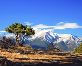 Mountain landscape near Buena Vista, Colorado, Buena Vista, Unitet States