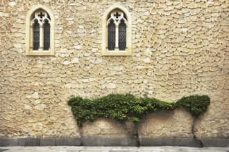 The wall of an ancient building decorated by Gothic windows and ornamental plants