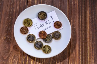 A plate with coins for tips or toilet charges. In English language Austria