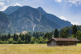 An image of the palace Hohenschwangau in Bavaria Germany