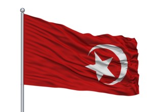 Nation Of Islam Flag On Flagpole, Isolated On White Background