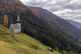 Church of St. Peter with golden larch in autumn, Monstein, Davos, Grisons, Switzerland