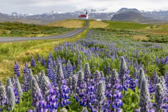 Ingjaldshólskirkja, Snaefellsnes, Iceland