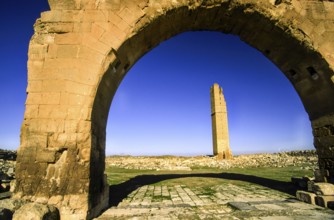 Ruins of the mosque Ulu Cami (s.VIII) . Harran.Southeast Anatolia.Turquia