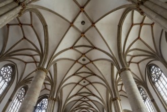 Münster/Westphalia, St Lamberti, vault in the nave