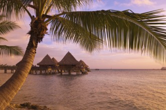 French Polynesia, Hua Hin, Rangiroa. Sunset, Kia Ora Resort, Rangiroa