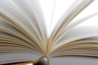 Books lie open on a white background Austria
