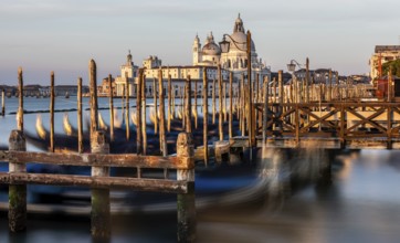 Gondola jetty, Venetian gondolas with the church of Santa Maria della Salute in the background,