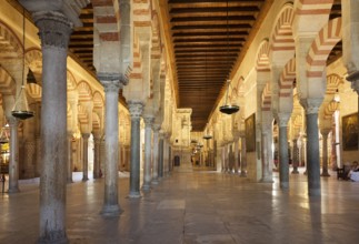 Inside the Mosque-cathedral of Cordoba, Andalucia, Spain