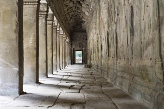 Ta prohm, siem reap, Cambodia, was inscribed on the UNESCO World Heritage List in 1992