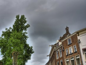 Historic cityscape with dramatic sky and green tree, zutphen, gelderland, achterhoek, netherlands
