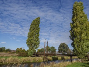 Wooden bridge spanning a river, surrounded by tall trees and a blue, slightly cloudy sky,