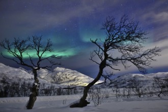 Aurora borealis