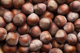 Many whole hazels