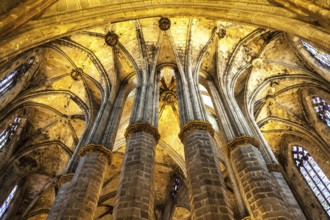 Interior of Santa Maria del Mar, the most beautiful gothic church in Barcelona
