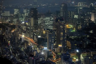 Tokyo Japan. Aerial view of Tokyo downtown at night