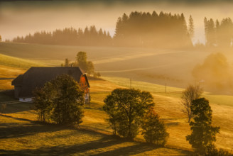 Farm in the southern Black Forest