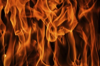 Flames of fire on a black background. The mystery of fire
