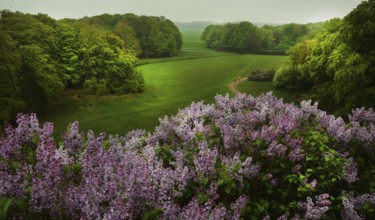 The forest of the Royal Estate De Horsten is worth seeing and has been open to the public since