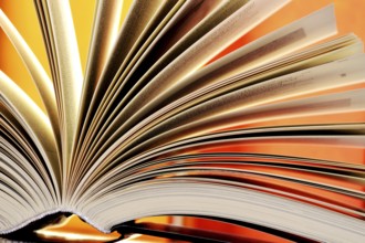 Composition with hardcover books in the library