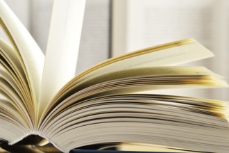 Composition with hardcover books in the library
