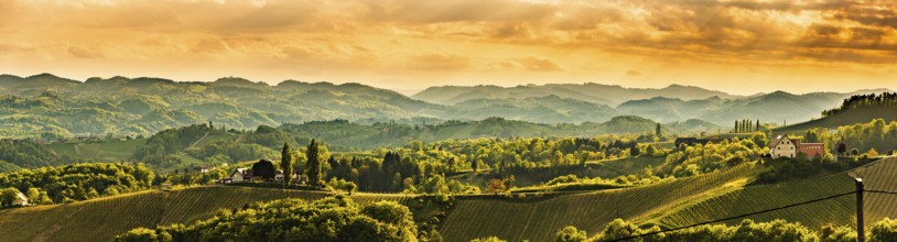 Panoramic view at famous wine street in south styria, Austrian destination, tuscany like vineyard