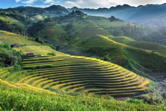Landscape view of rice fields in Mu Cang Chai District, Yen Bai Province, North Vietnam
