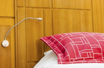 A design red pillow in a modern style bedroom
