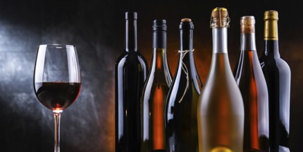 Composition with a wineglass and bottles of different sorts of wine
