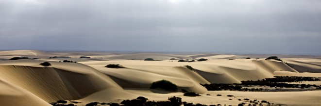 Sand dunes, desert near Walvis Bay in Namibia