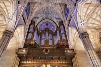 New York. Manhattan. St. Patrick's Cathedral