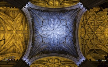 Plenty of interesting details in this Seville Spain Cathedral Interior - 400 years old