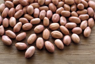 Pea nuts (Arachis hypogaea Linn) ground nuts, South India, India, Asia