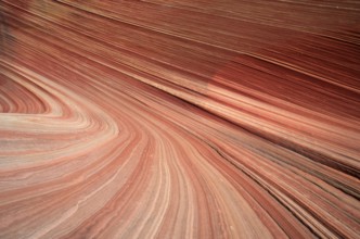 Sandstone formations, Paria Sandhills, Vermillion Cliffs, Utah, USA