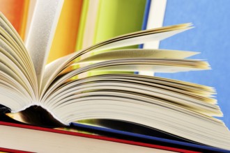 Composition with hardcover books in the library