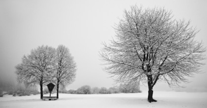 Winter idyll