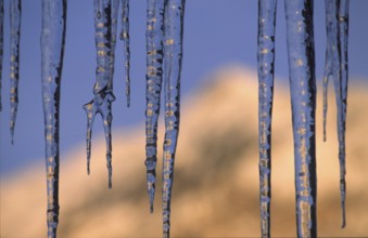 Icicle, Winter, Ice