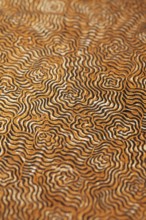 Cover of an old 19th century book, short depth of field