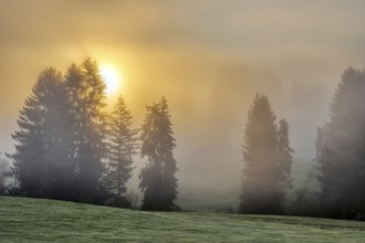 Beautiful autumn sunrise in a misty landscape, seen in Bavaria, Germany
