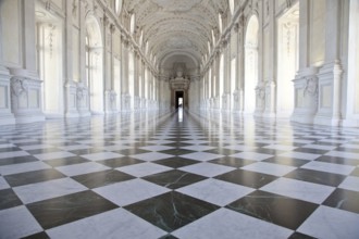 View of Galleria di Diana in Venaria Royal Palace, close to Torino, Piemonte region