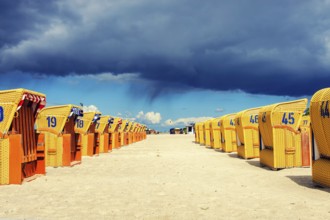 Yellow beach chairs in two rows under dark rain clouds in the sunshine